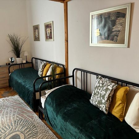 Central Apartment Next To The Elisabeth Bridge Budapest Ngoại thất bức ảnh