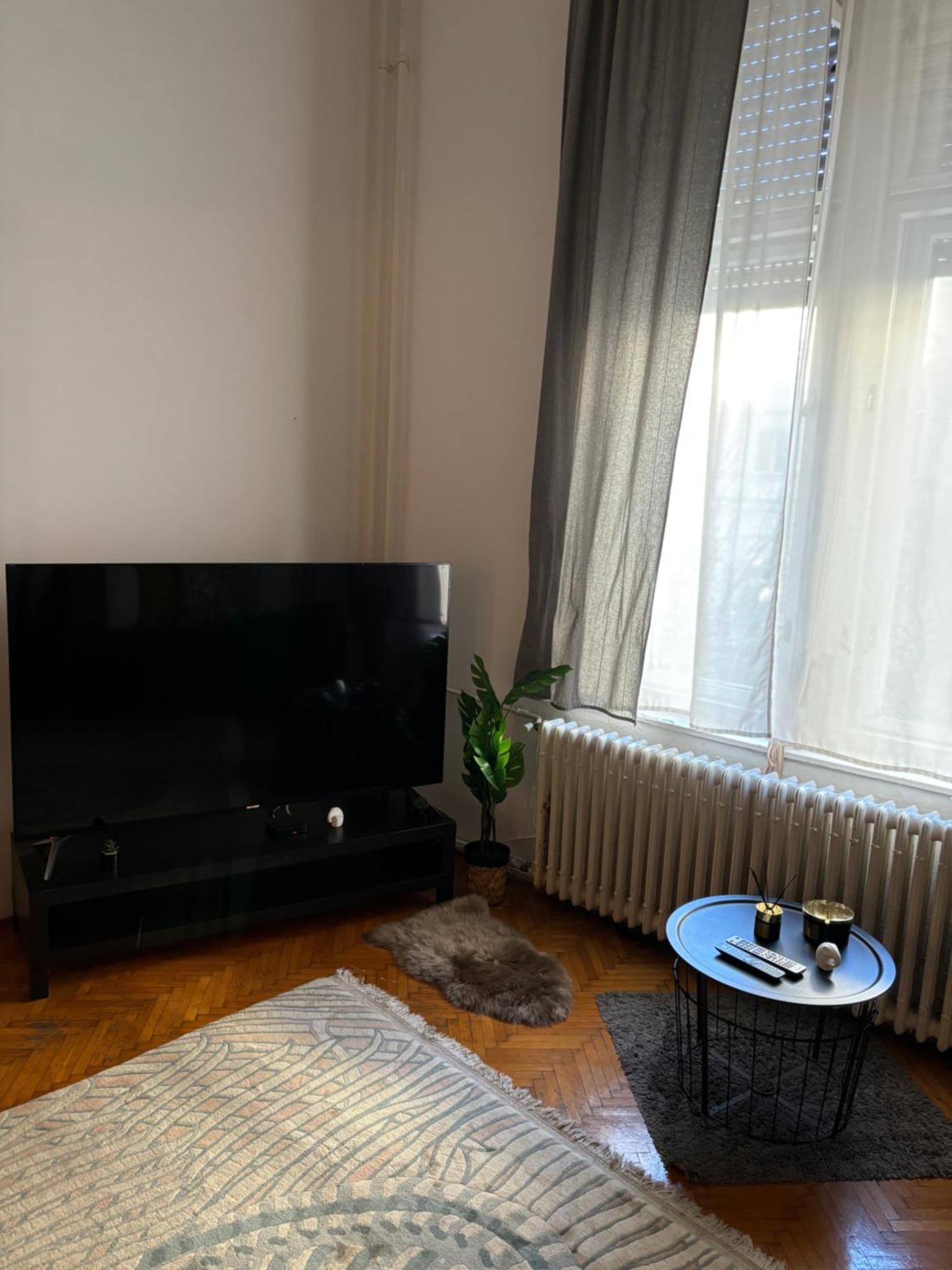 Central Apartment Next To The Elisabeth Bridge Budapest Ngoại thất bức ảnh